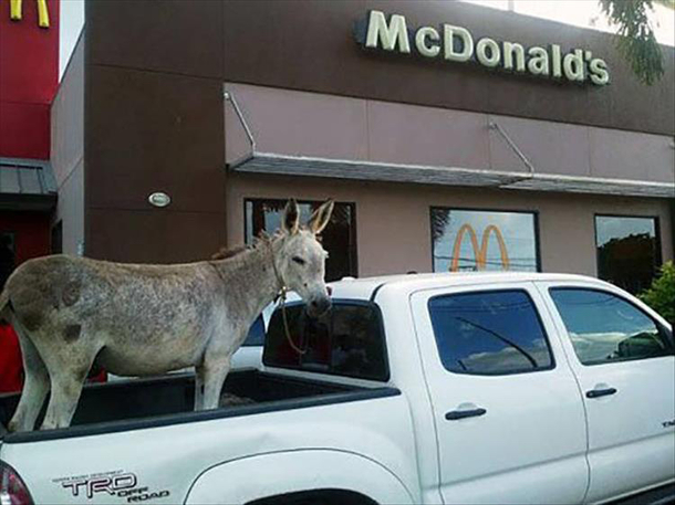 Can I get a Big Mac and uh a side of hay