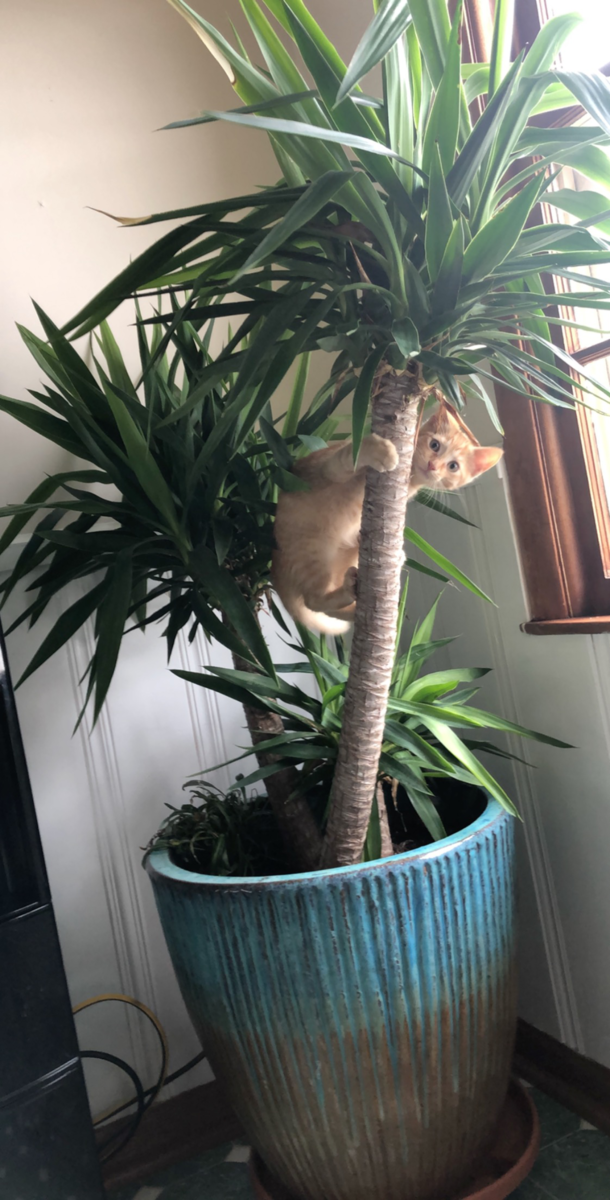 Can I help you Im watching birds