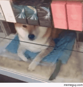 Can I help you todaysir