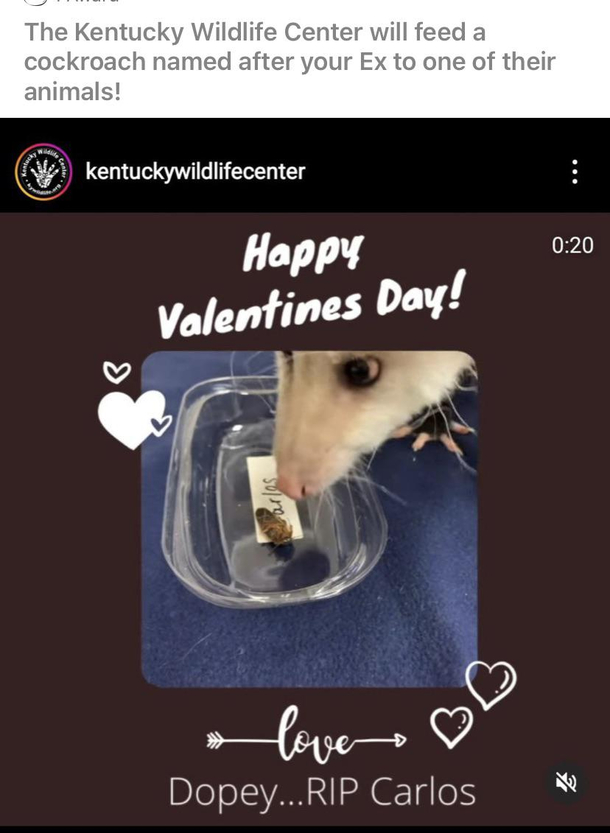 Can i name a rat that eats a cockroach My soul would be more at ease without taking a life and knowing that bitch eats bugs