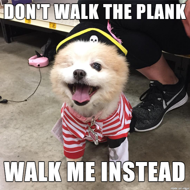 Can Pirate Dog please be a meme