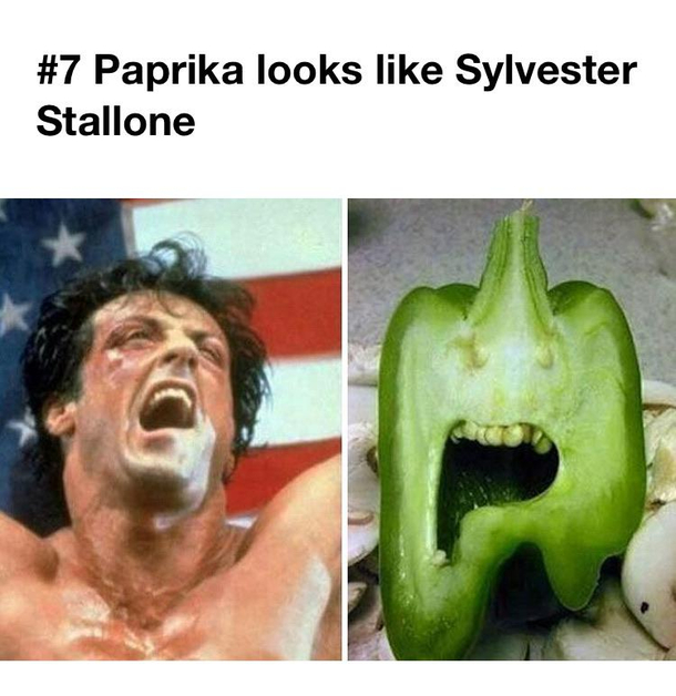 Can someone please point out the paprika to me