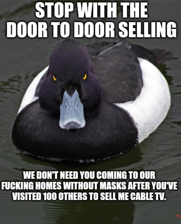 Can we just agree to put a pause on door to door solicitations