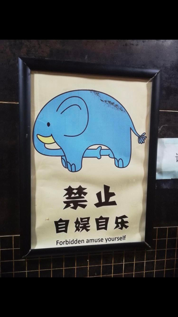 Can You at least play with the Elephant
