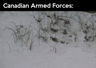 canadian-armed-forces-61645.gif