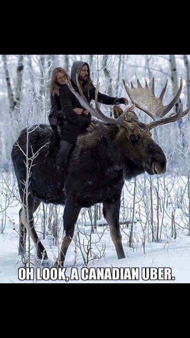 Canadian Uber
