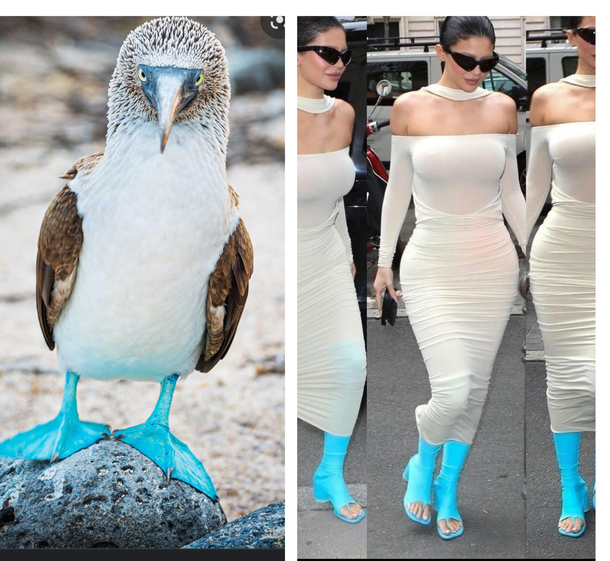 Cannot unsee