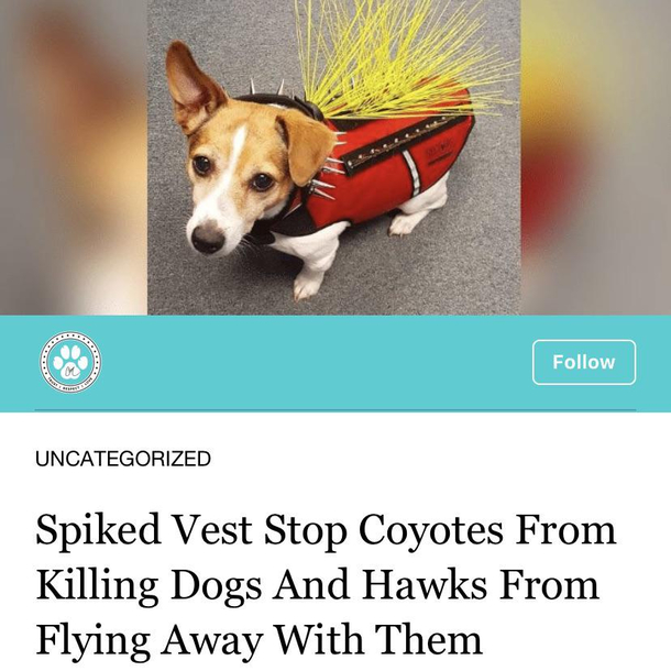 Cant decide if this is legit life hack or SPLT