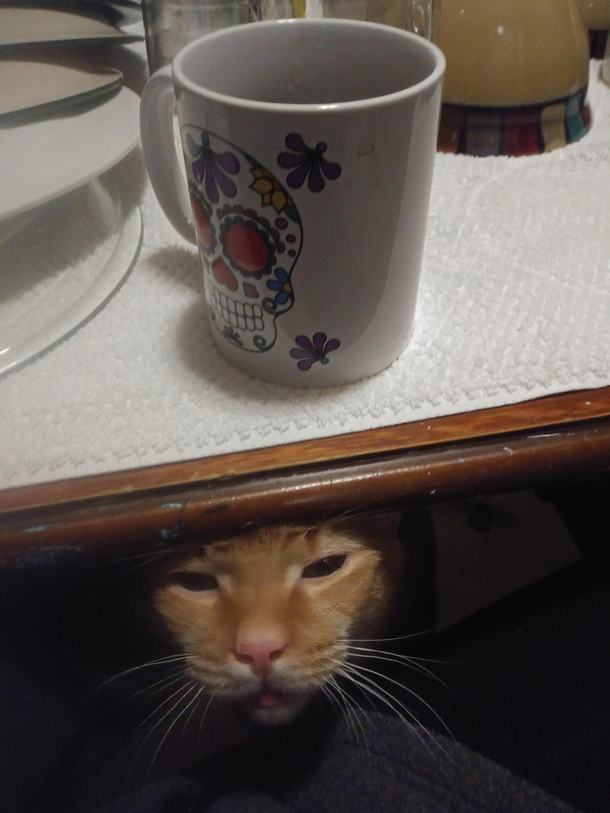 Cant even enjoy my morning coffee alone
