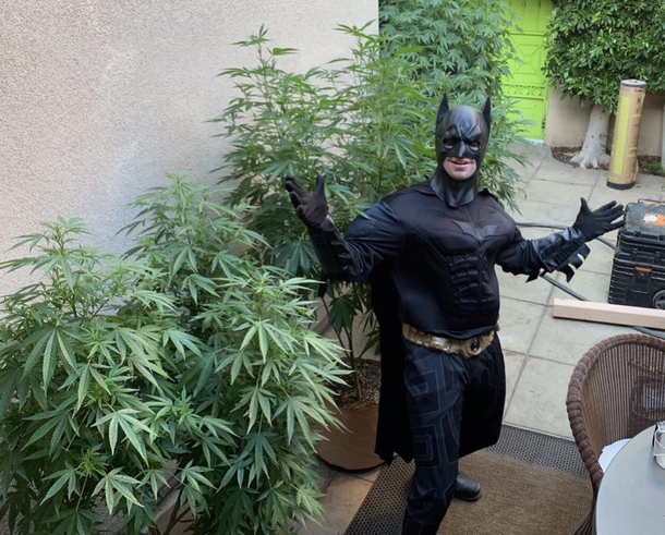 Cant get in trouble for weed if you dont have parents What is your best caption