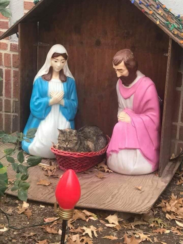 Cant really put my paw on it but something seems a bit off with Baby Jesus