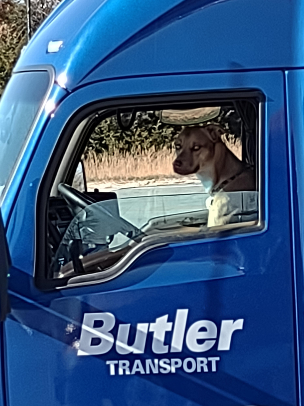 Cant stand these mean old truckers
