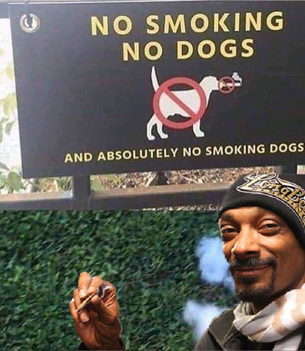 Cant stop the Dogg