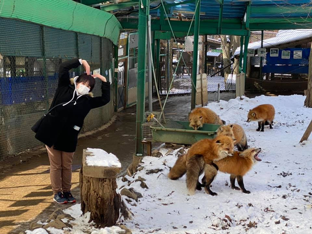 Cant wait to show all my friends I went to Japan