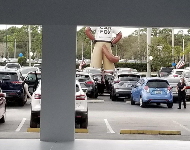 Car Fox Are you facing me