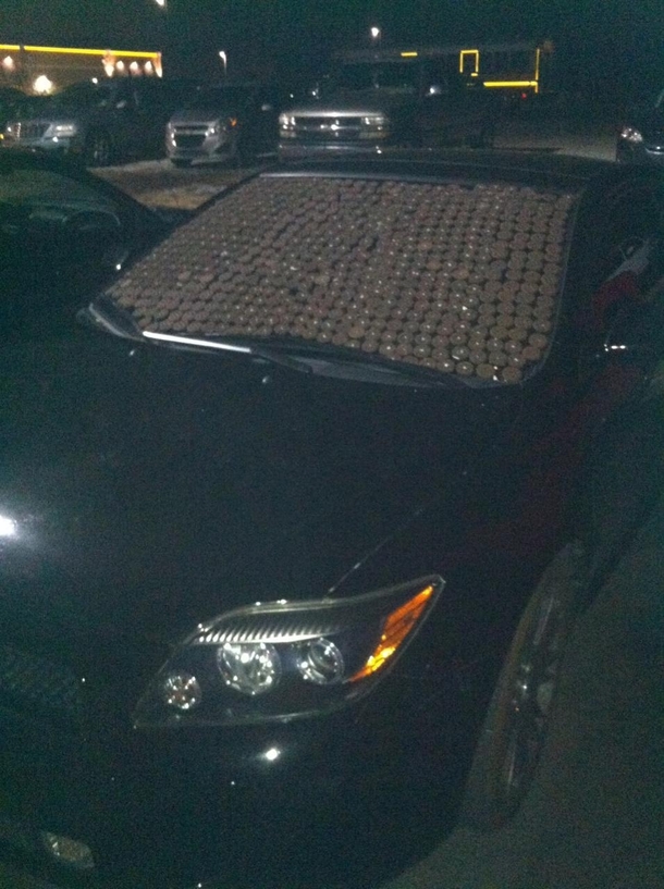 Car in parking lot got Oreod