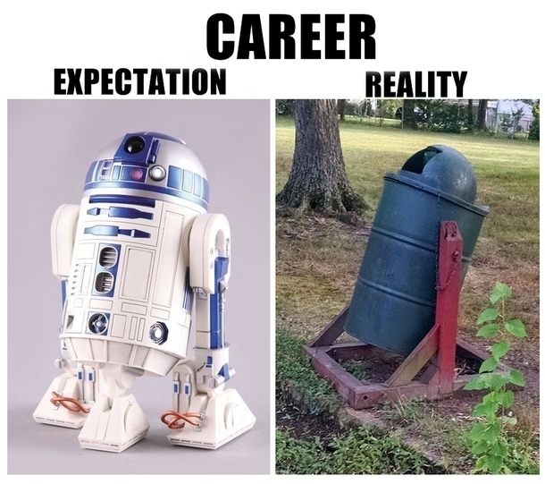Career Expectations versus Reality