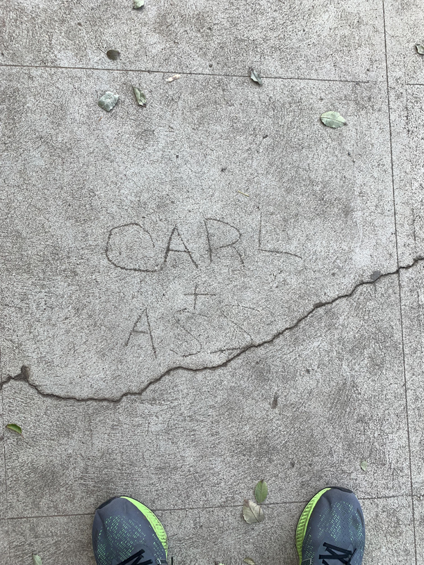 Carl and his love for ass forever immortalized 
