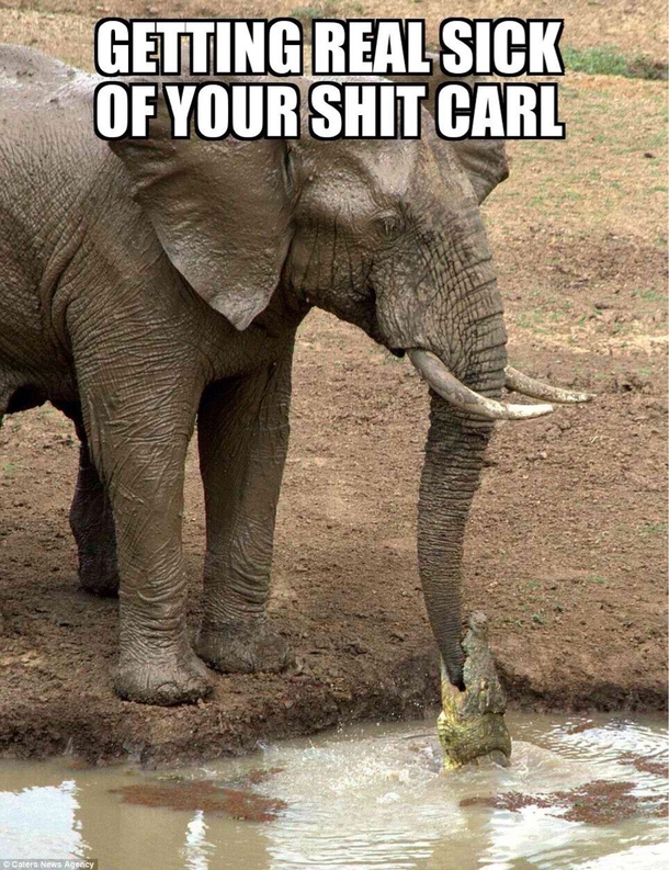 Carl just doesnt learn
