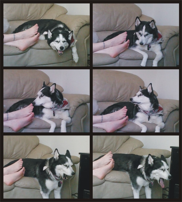 Carter Smells Feet