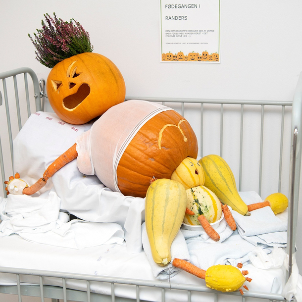 Carved pumpkins by Danish midwives at local hospital