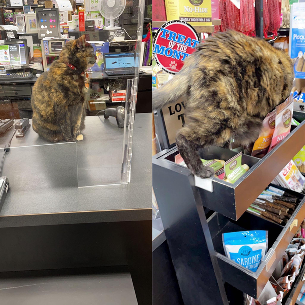 Cashier forgot her mask and then started goofing on company time
