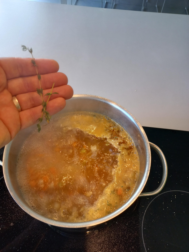 Casually making some chicken broth while I got some thyme on my hands