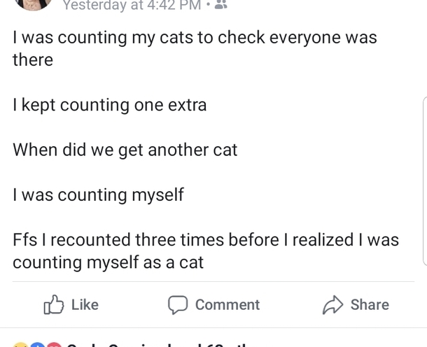 Cat Check