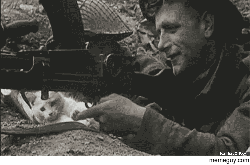 Cat doesnt like all the war and killing