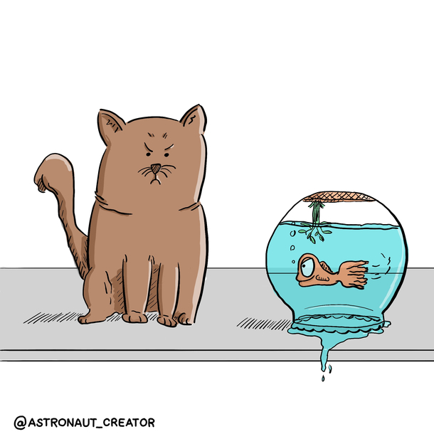 cat fish