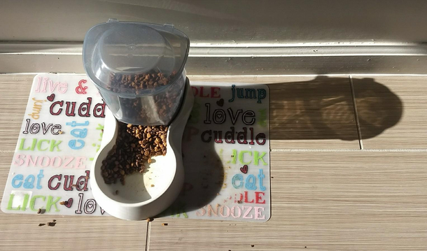 Cat food shadow