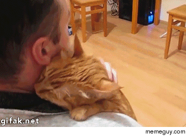 Cat gives his human a big hug 