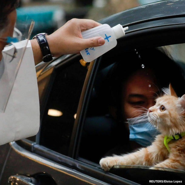 Cat-holic