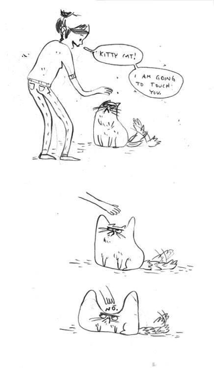Cat I am going to touch you