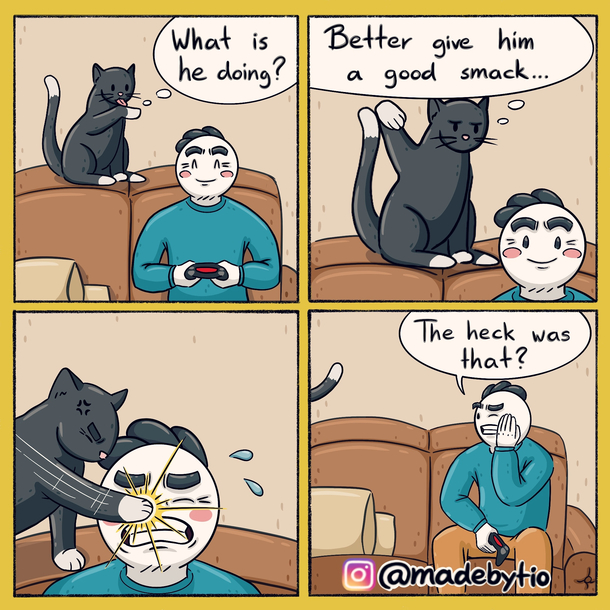Cat If in doubt better smack