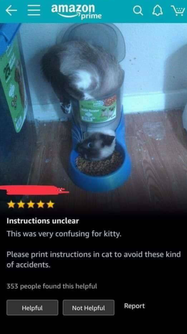 Cat is stuck