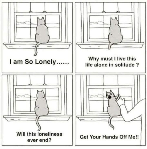 Cat Logic
