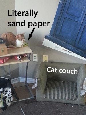 Cat logic - Meme Guy