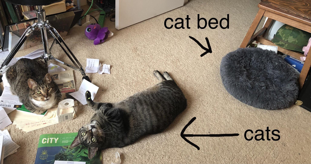 Cat logic I feel like I wasted  Please ignore the mess LOL