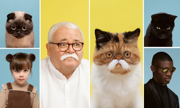 Cat lookalike
