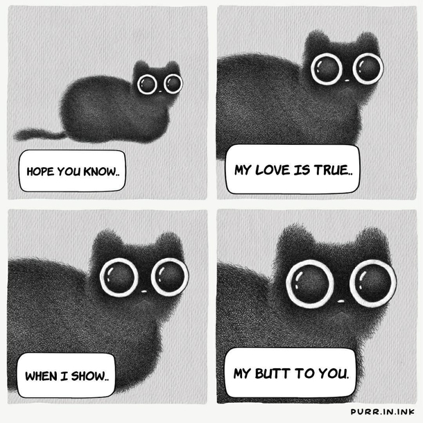 Cat love