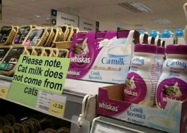 Cat milk doesnt come from cats