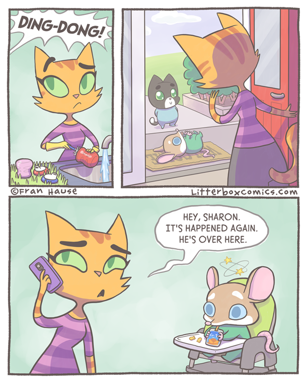 Cat Mom Problems