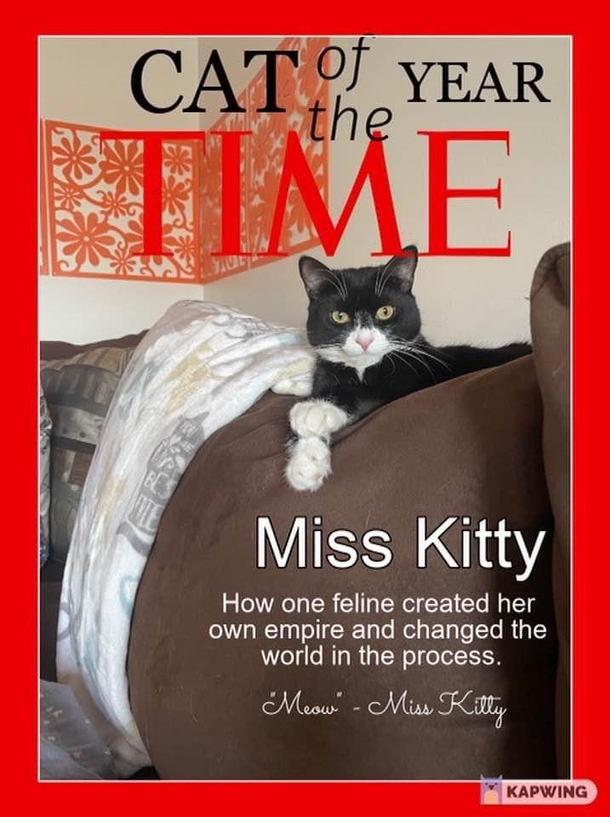 Cat of The Year Time Cover