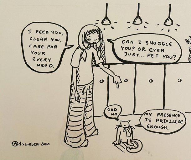 Cat Owner