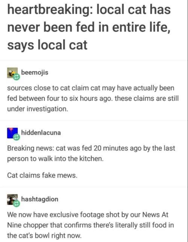 Cat Owners Know Whats Up 