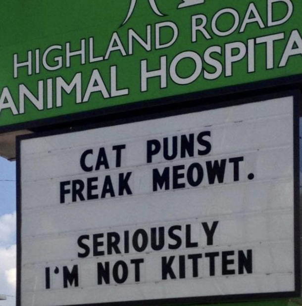 Cat puns 