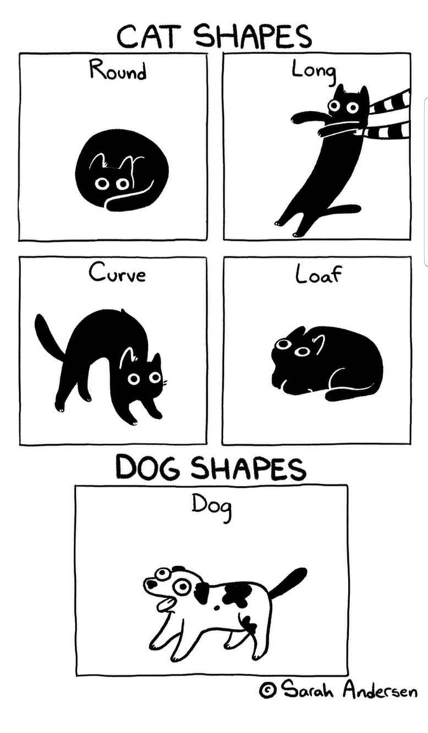 Cat shapes