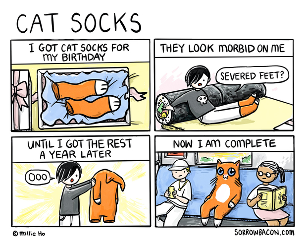 Cat Socks