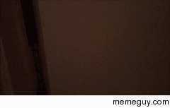 Cat Week Nope
